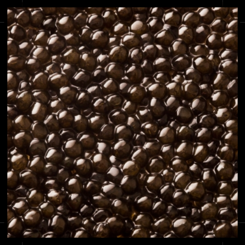 BAERI CAVIAR 250g