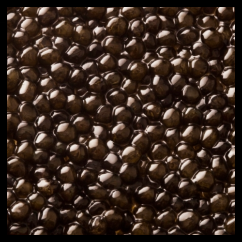 OSCIETRA CAVIAR 30g
