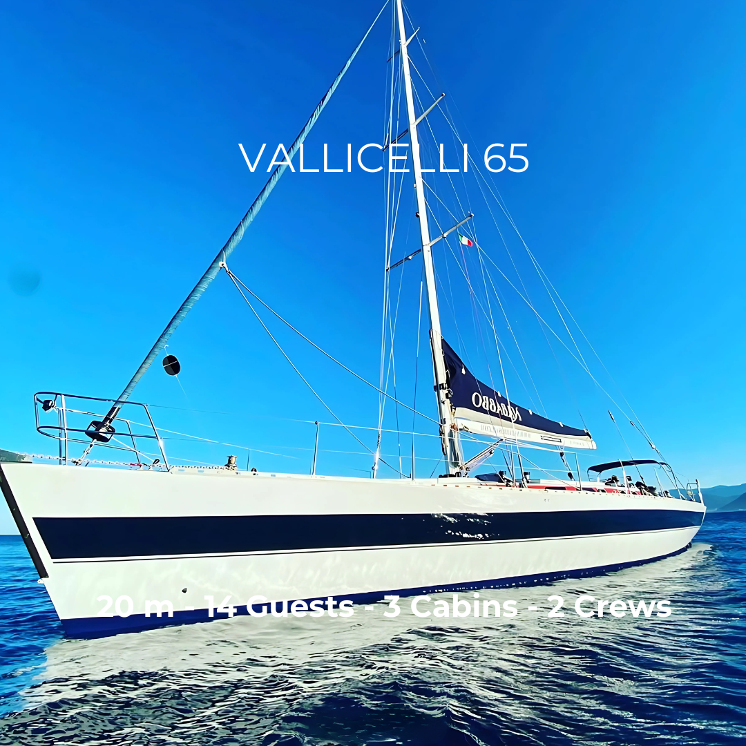 VALLICELLI 65 - 20 м - 3 каюты - 14 гостей