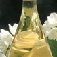 Caroline Dufour 6 Bouteilles - Cuvée Prestige Blanc de Blancs